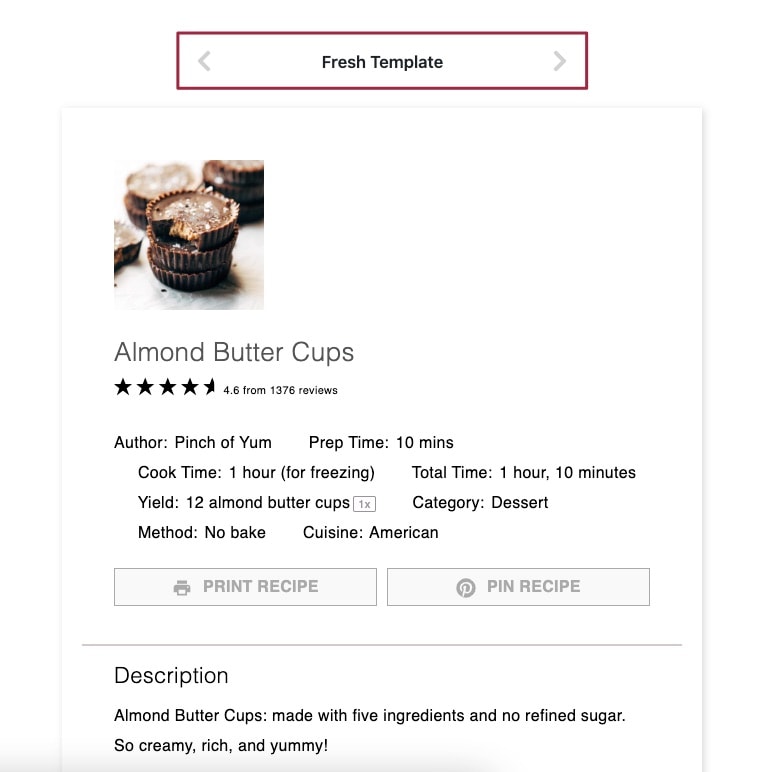 Screengrab of theme template options in Tasty Recipes the plugin